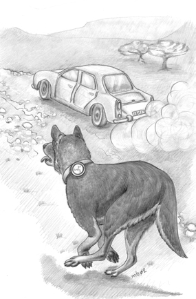 Electronic Surveillance